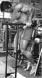 Arnold Schwarzenegger Tricep Dips