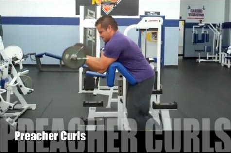 EZ Bar Preacher Curls / Spider Curls