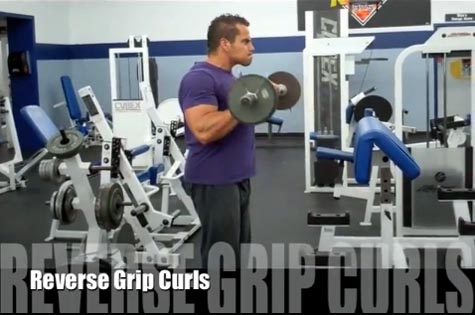 Reverse Grip Barbell Curls