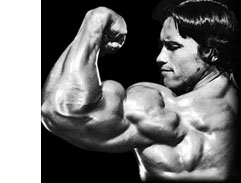 Arnold Schwarzenegger Arm Workout