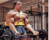 Arnold's Bicep Workout